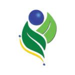 Green Generation Consulting